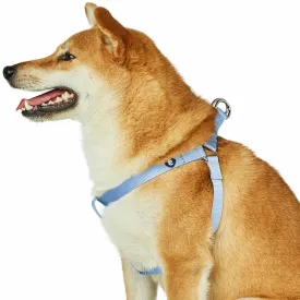 Classic Solid Color Adjustable Dog Harness, Blue