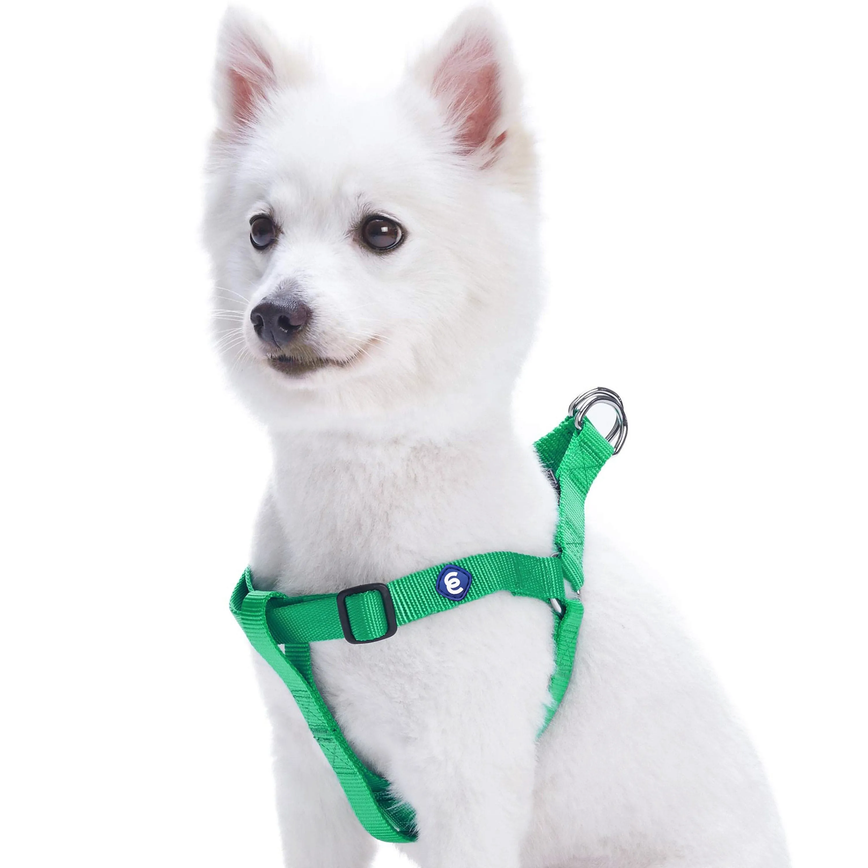 Classic Solid Color Adjustable Dog Harness, Green