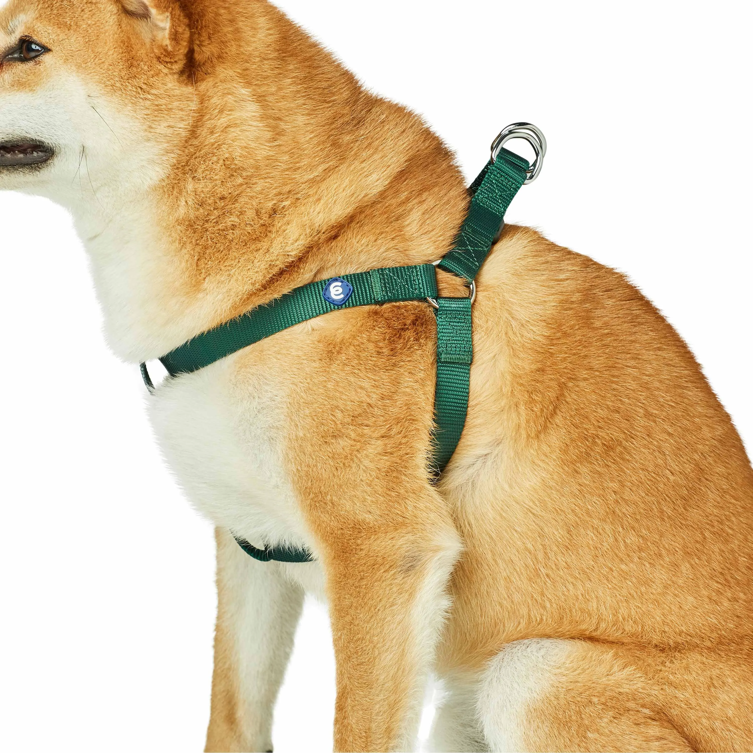 Classic Solid Color Adjustable Dog Harness, Green