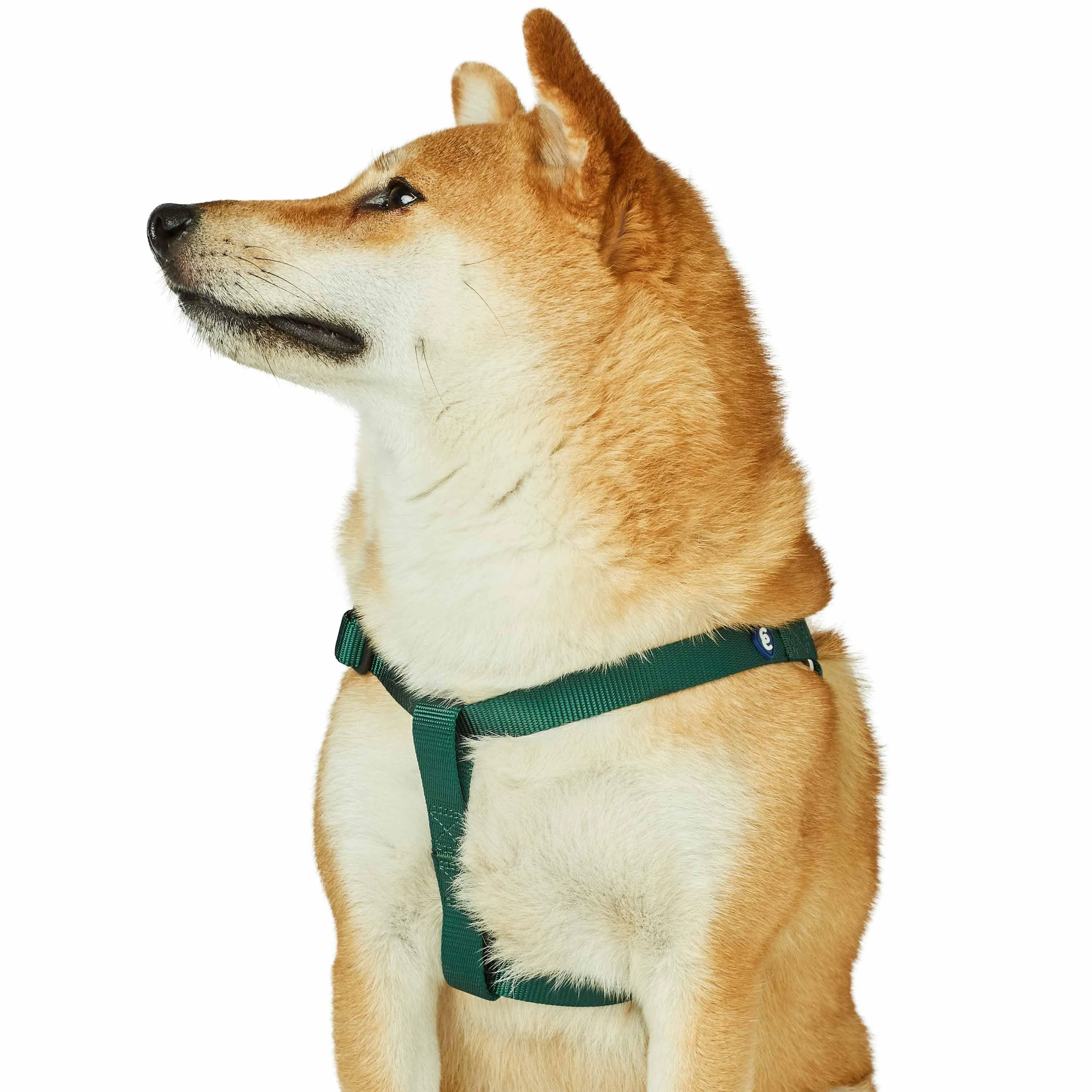 Classic Solid Color Adjustable Dog Harness, Green