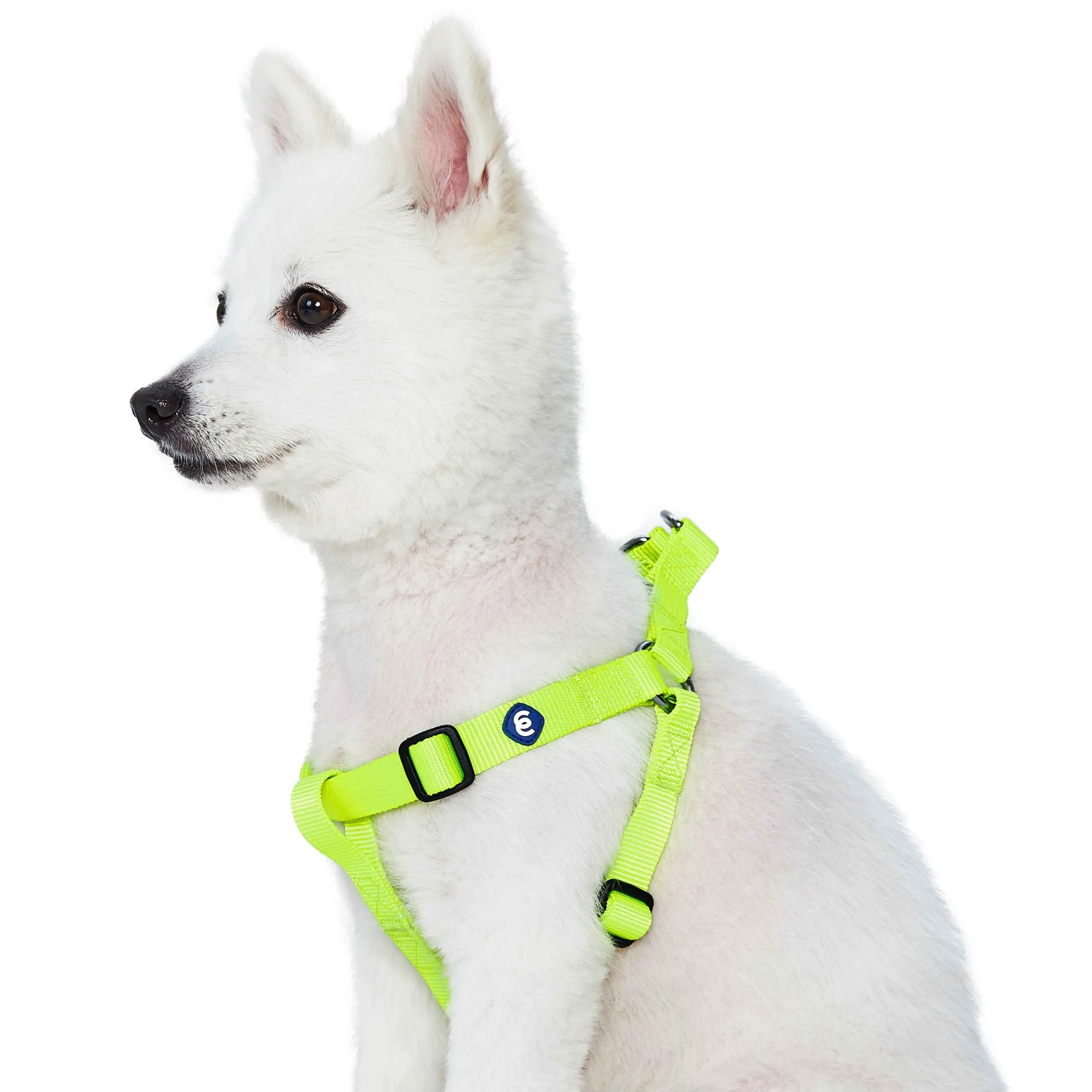 Classic Solid Color Adjustable Dog Harness, Green