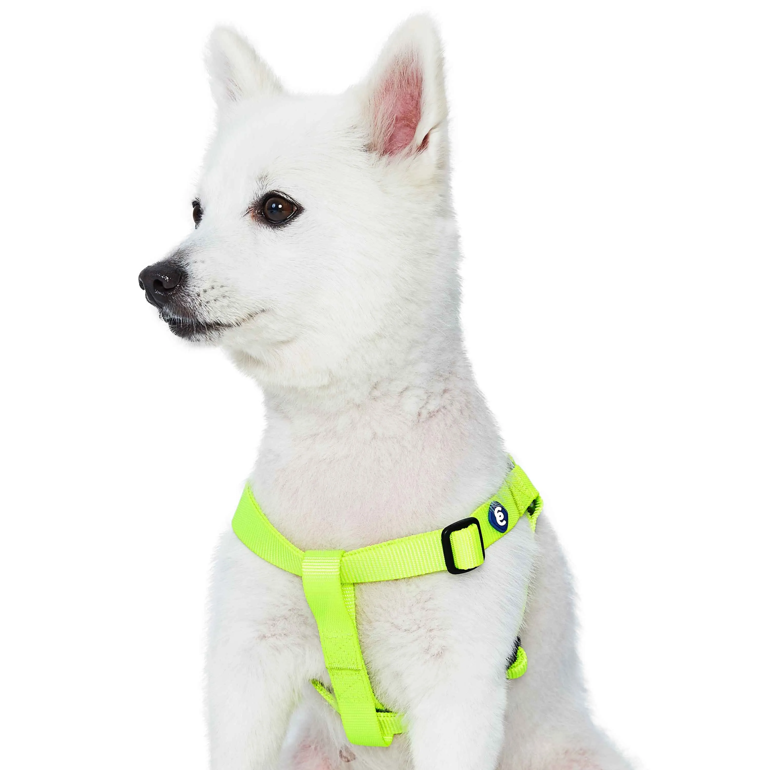 Classic Solid Color Adjustable Dog Harness, Green