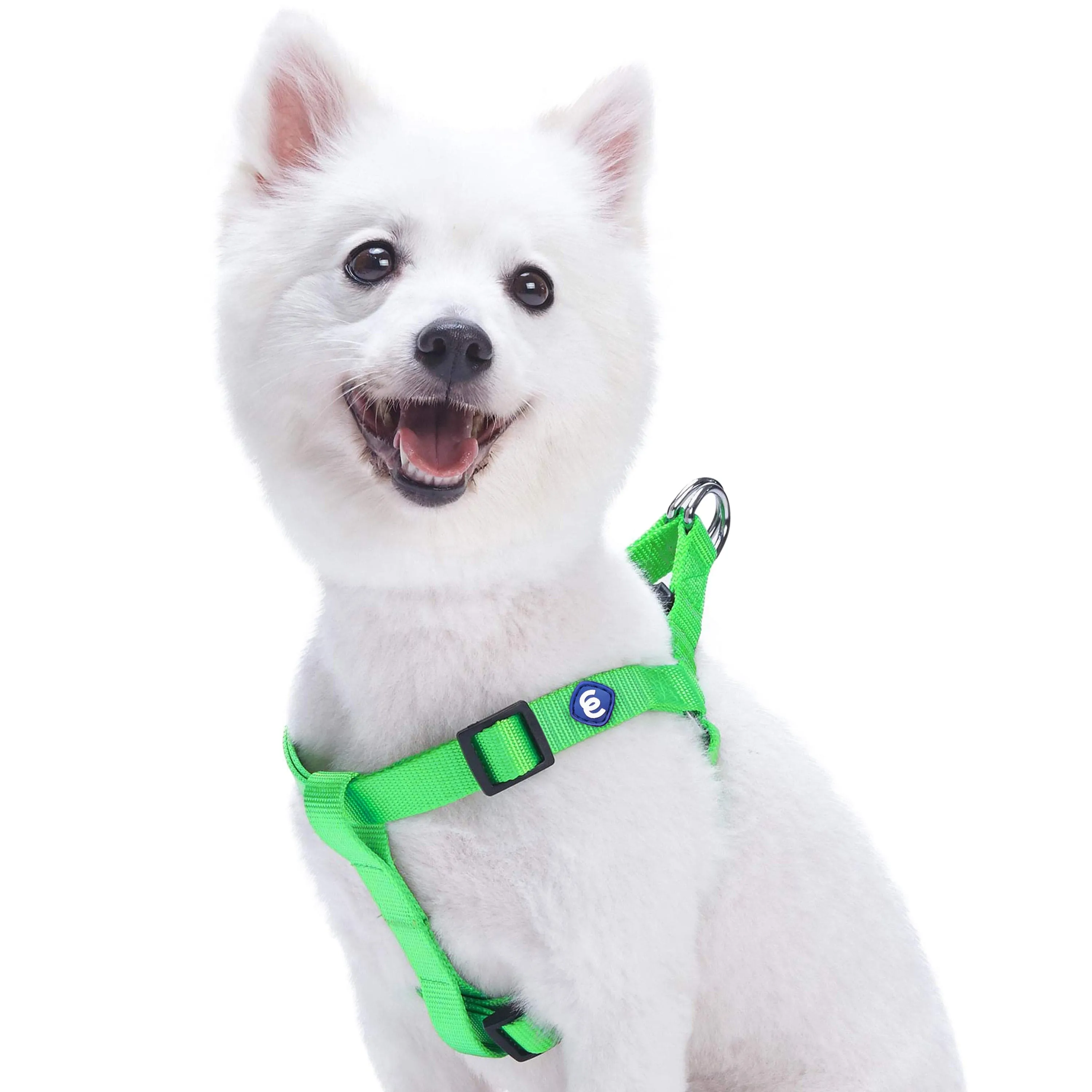 Classic Solid Color Adjustable Dog Harness, Green