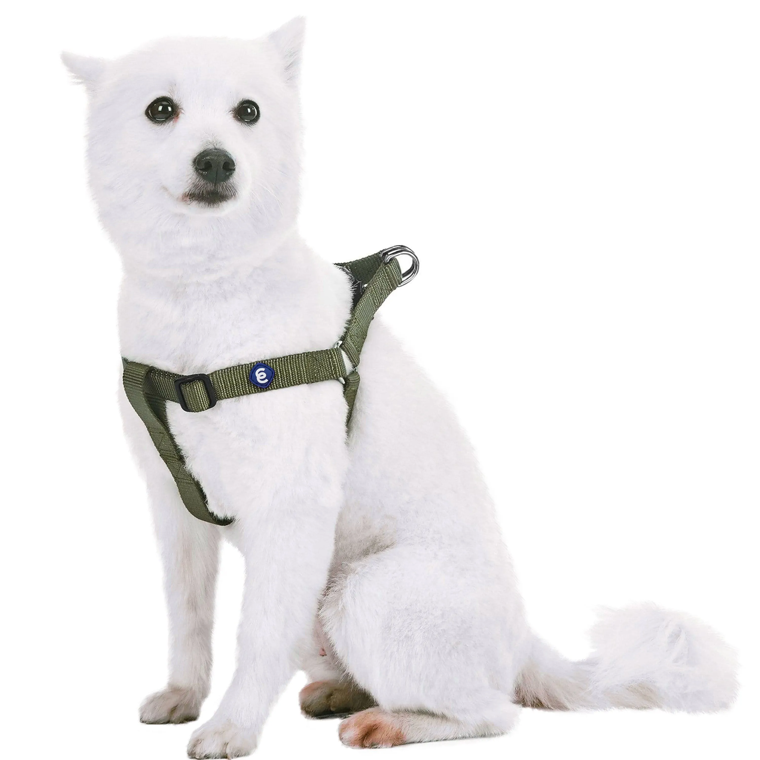 Classic Solid Color Adjustable Dog Harness, Green