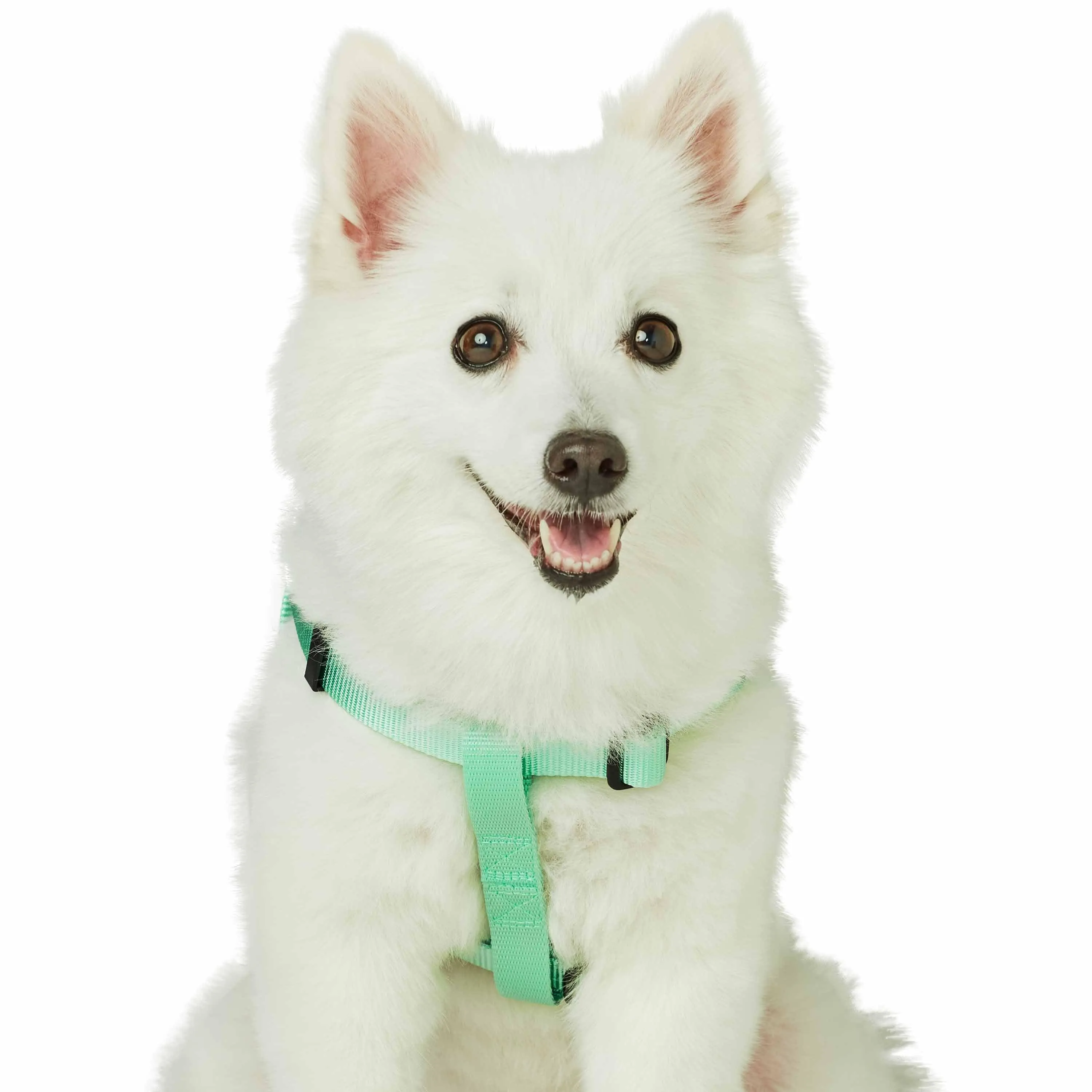 Classic Solid Color Adjustable Dog Harness, Green