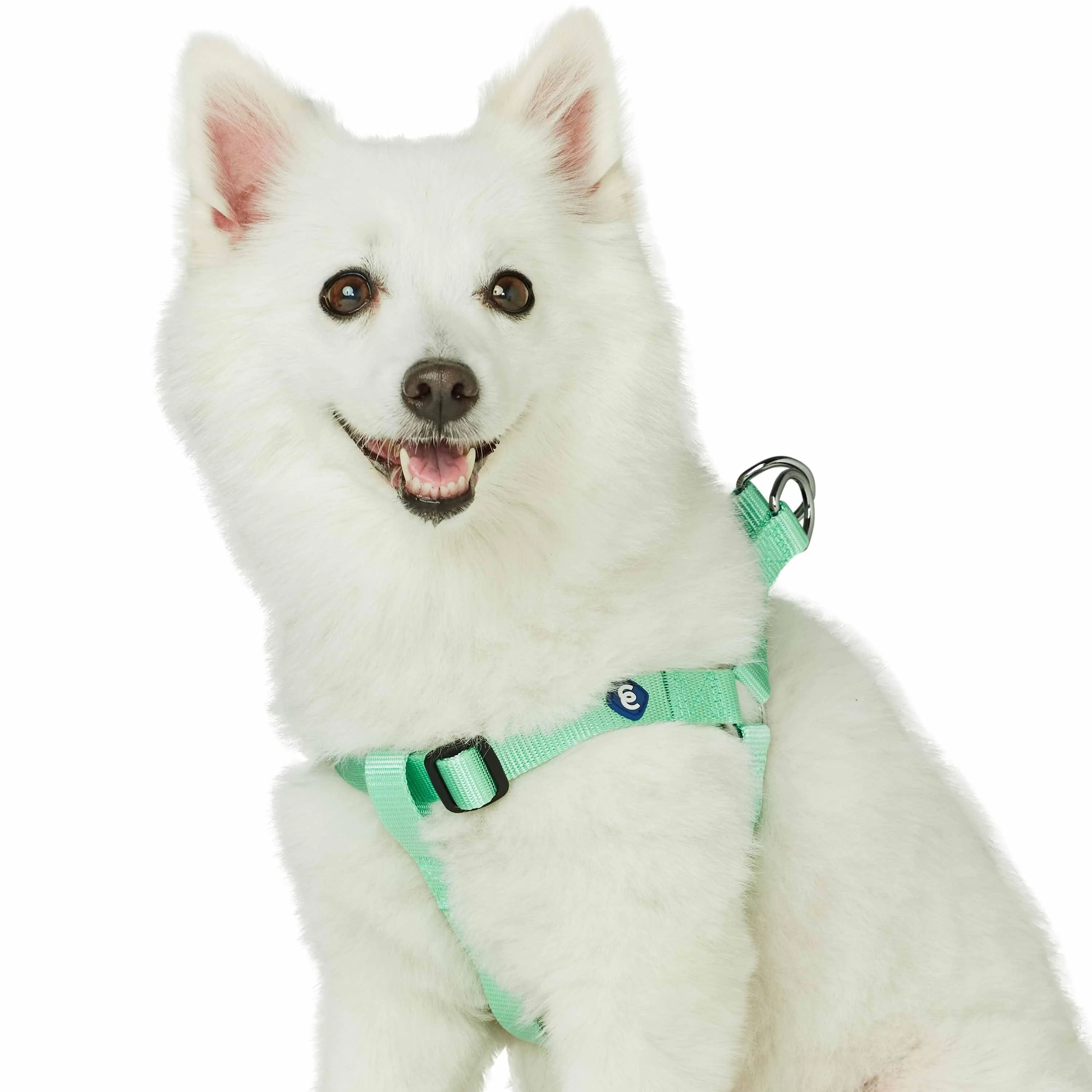 Classic Solid Color Adjustable Dog Harness, Green