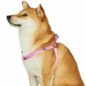 Classic Solid Color Adjustable Dog Harness, Pink/Red