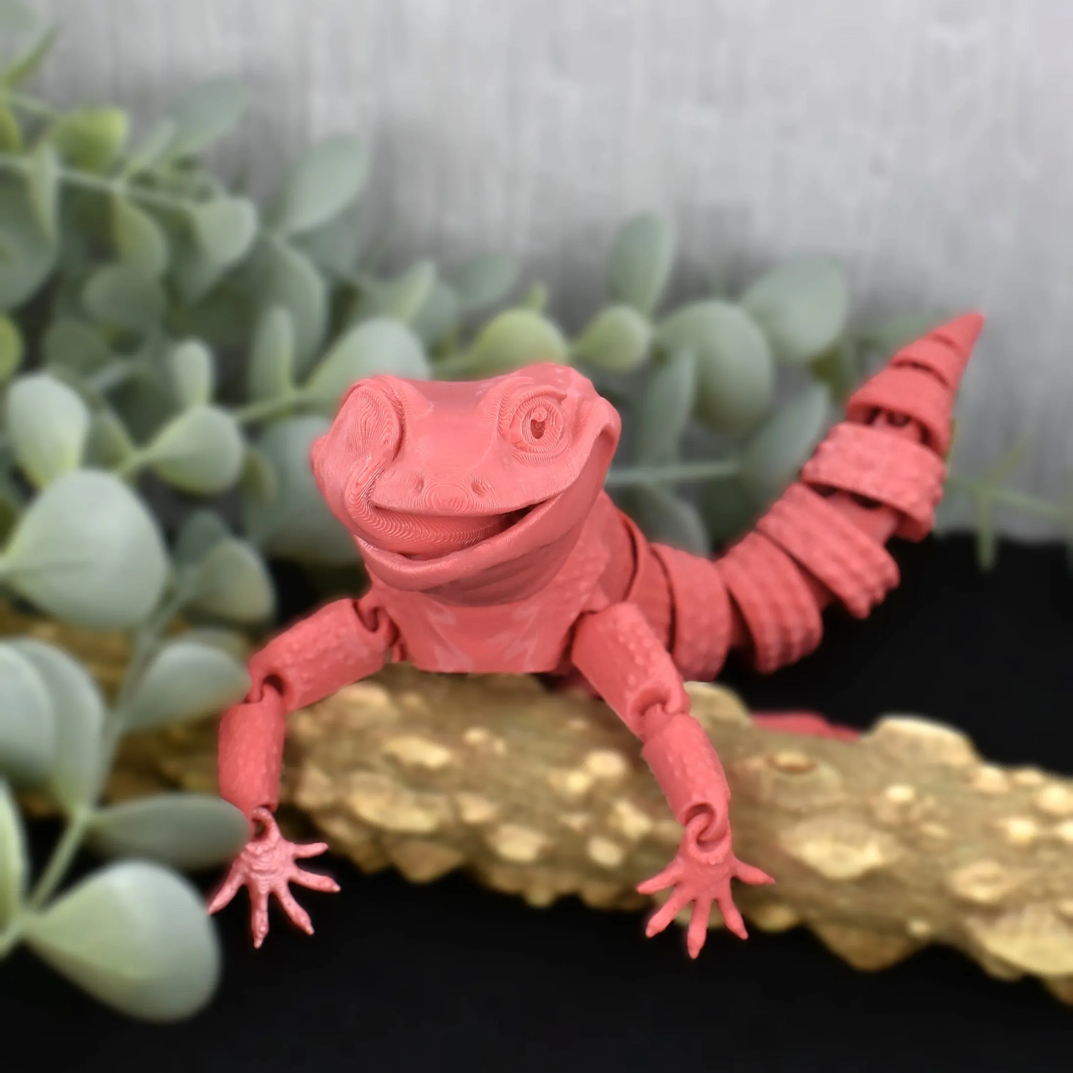 Leopard Gecko Fidget